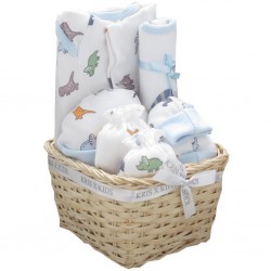 Dino 6 piece gift set